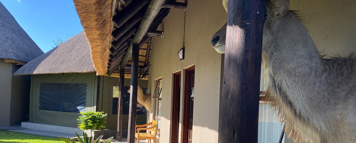 Sasavona Game Lodge